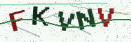 Security code image