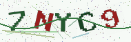 Security code image