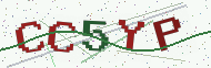 Security code image
