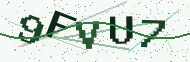 Security code image