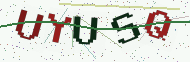 Security code image