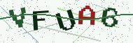 Security code image