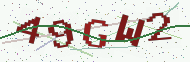 Security code image
