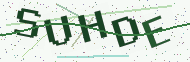 Security code image