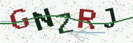 Security code image