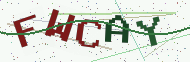 Security code image