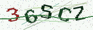 Security code image