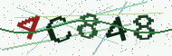 Security code image