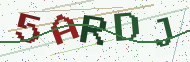 Security code image