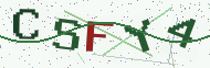 Security code image