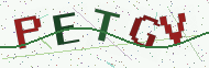 Security code image