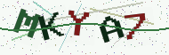 Security code image