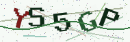 Security code image