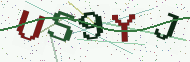 Security code image