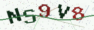 Security code image