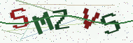 Security code image
