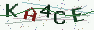 Security code image