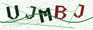 Security code image