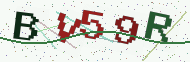 Security code image