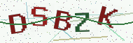 Security code image
