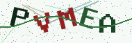 Security code image