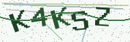 Security code image