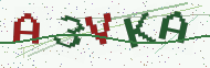 Security code image