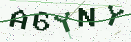 Security code image