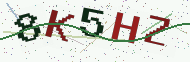 Security code image