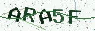 Security code image
