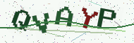 Security code image