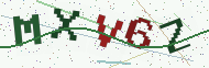 Security code image