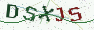 Security code image