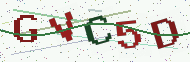Security code image