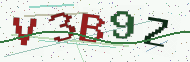 Security code image