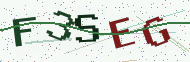Security code image