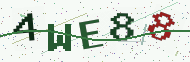 Security code image