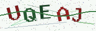 Security code image
