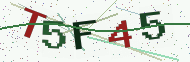 Security code image