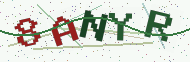 Security code image