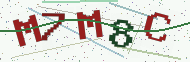 Security code image