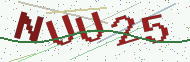 Security code image
