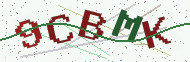 Security code image