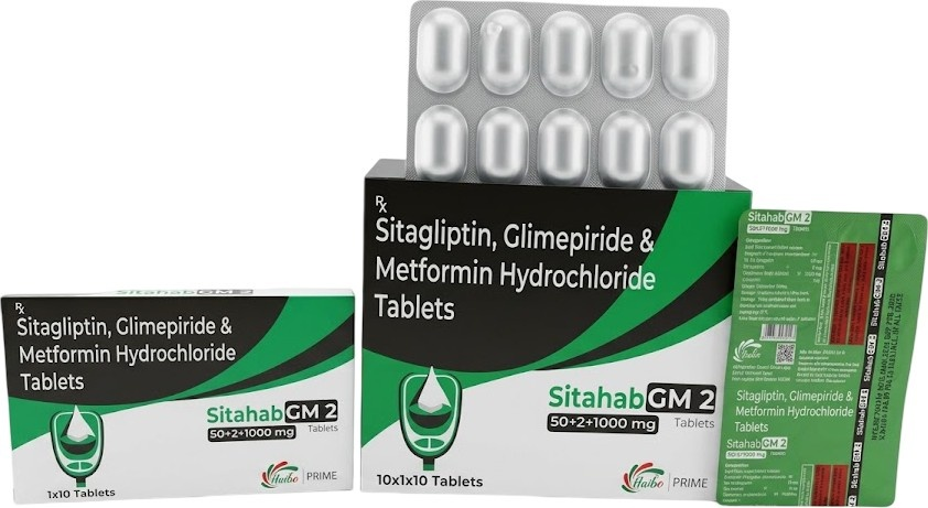 SITAHAB GM2 FORTE